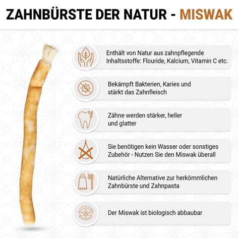 miswak vorteile.